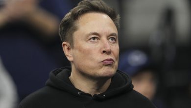 Nova IA de Elon Musk consulta opiniões do bilionário antes de responder