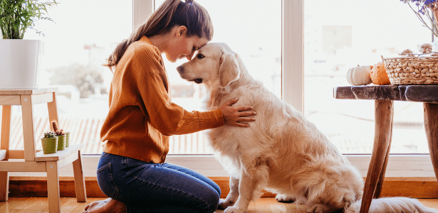 Quando cães e humanos fazem contato visual, ambos sentem uma onda de oxitocina