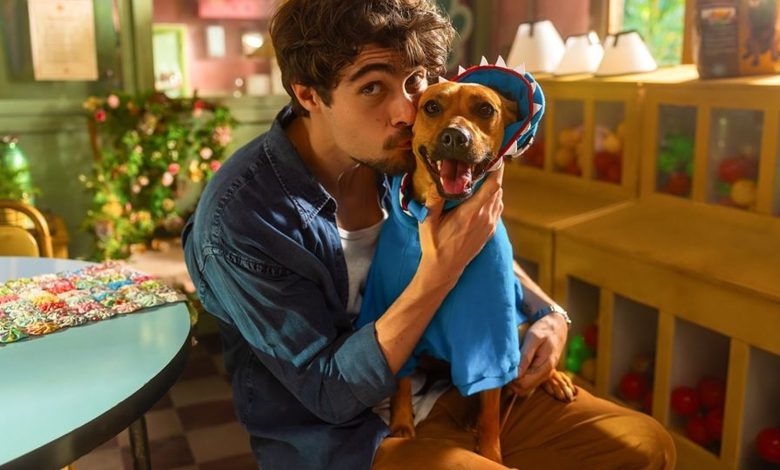 8 melhores filmes e séries em alta para ver na Netflix no fim de semana (17/10)