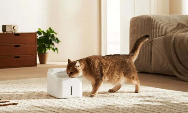 Xiaomi Smart Pet Fountain 2 não bate a clássica tigelinha [Review]