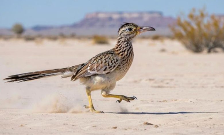 Microsoft lança o MAI-Image-1, 1º gerador de imagens nativo do Bing