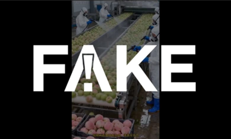 É #FAKE vídeo de operários 'tingindo' frutas e verduras em fábrica na China; cena foi criada com inteligência artificial