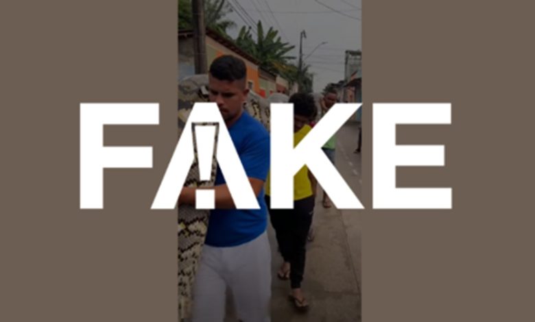 Vídeo que mostra homens carregando anaconda na Amazônia é feito com IA