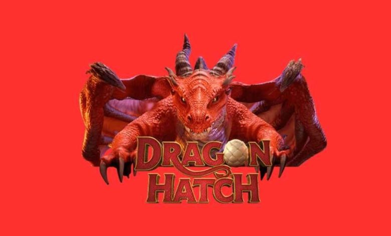 Dragon Hatch: como funciona o jogo do dragão online