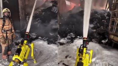 Adeus bombeiros? Cães-robôs ajudam em incêndios e viralizam