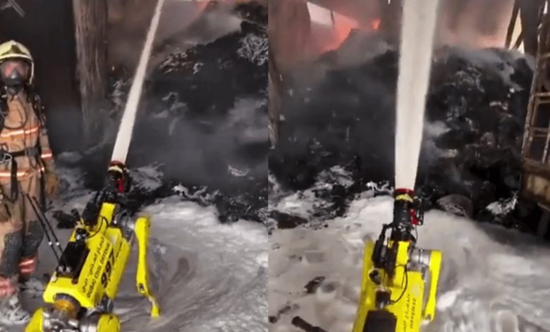 Adeus bombeiros? Cães-robôs ajudam em incêndios e viralizam