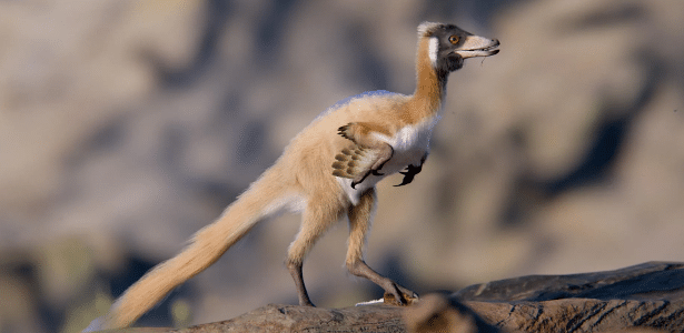 Fóssil de pequeno dinossauro de 900g encontrado na Argentina ajuda a explicar evolução da espécie