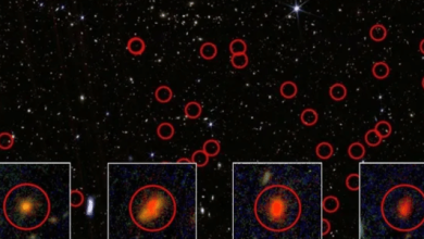 Amostra dos pequenos pontos vermelhos circulados detectados pelo Telescópio Espacial James Webb