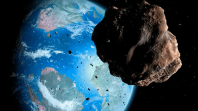 Asteroide capaz de destruir uma cidade passará perto da Terra