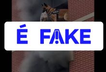 É #FAKE vídeo de cão policial salvando shih tzu de prédio em chamas; cena foi criada com inteligência artificial