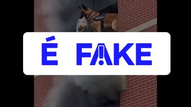 É #FAKE vídeo de cão policial salvando shih tzu de prédio em chamas; cena foi criada com inteligência artificial