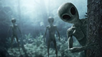 EUA identificaram quatro espécies de ETs, afirma ex-funcionário da CIA