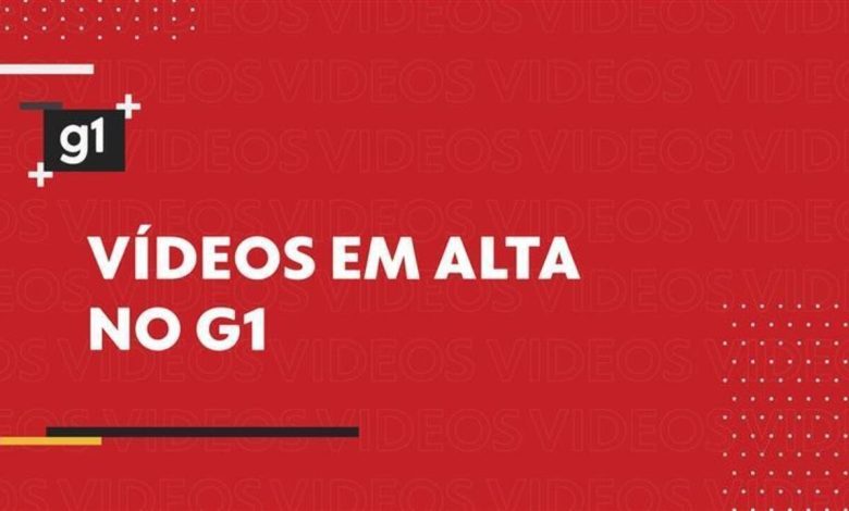 Influenciadora em ética de IA tem redes sociais derrubadas