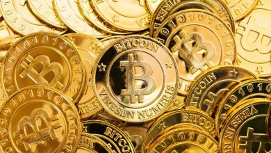 Investidor recupera R$ 2 milhões em bitcoins travadas em carteira com ajuda do Claude