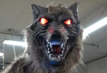 Lobos robôs viram arma improvável contra ataques de ursos no Japão
