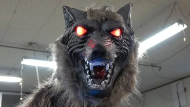 Lobos robôs viram arma improvável contra ataques de ursos no Japão