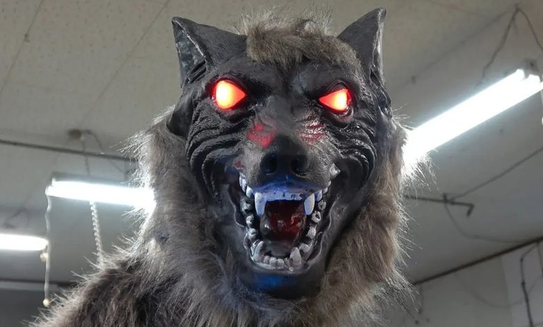 Lobos robôs viram arma improvável contra ataques de ursos no Japão