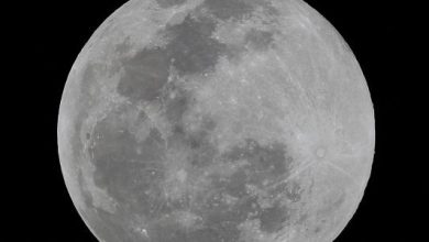 Fenômeno é considerado raro porque ocorre apenas a cada dois ou três anos, segundo a Nasa