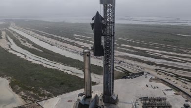 SpaceX adia para sexta 12º voo da Starship; entenda o que interrompeu lançamento