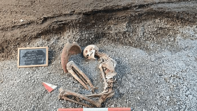 A partir da análise de restos mortais, arqueólogos usam IA para reconstruir fuga dramática durante a erupção que destruiu Pompeia