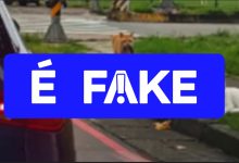 É #FAKE vídeo de gatinho flagrando 'traição'; cena foi gerada com inteligência artificial