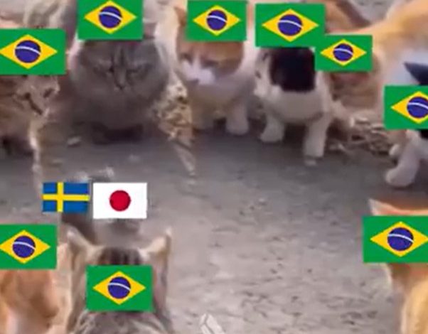 Japão x Suécia: veja memes do empate que definiu o próximo adversário do Brasil