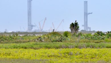 Starbase: como é a vida na cidade formada por funcionários de Elon Musk