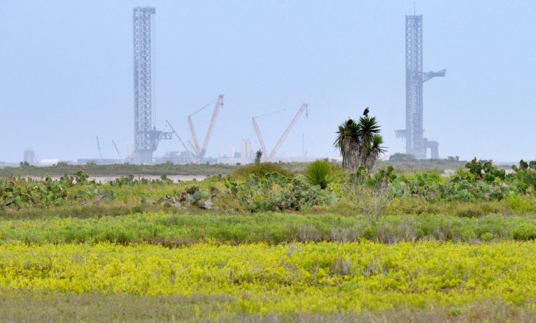 Starbase: como é a vida na cidade formada por funcionários de Elon Musk