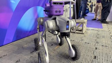 Startup brasileira cria ‘cérebro’ com IA para deixar robôs mais inteligentes; g1 conheceu o projeto
