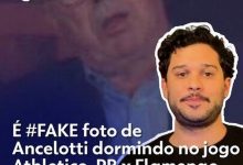 Vídeo de cão e gato de ponta-cabeça é ilusão de ótica criada por IA