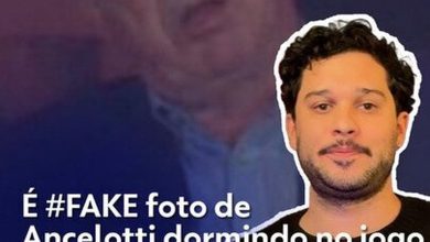 Vídeo de cão e gato de ponta-cabeça é ilusão de ótica criada por IA