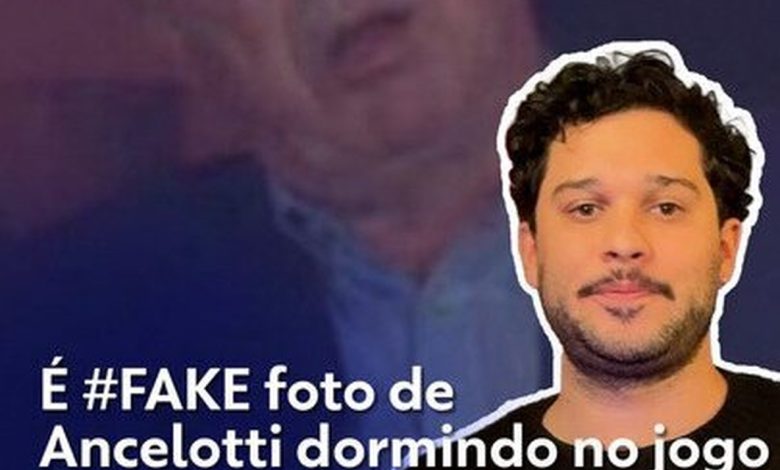 Vídeo de cão e gato de ponta-cabeça é ilusão de ótica criada por IA
