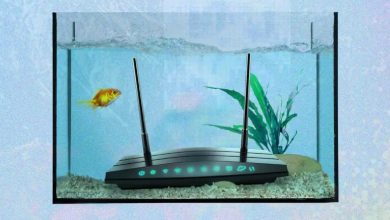As coisas mais estranhas que podem piorar o sinal de wi-fi da sua casa