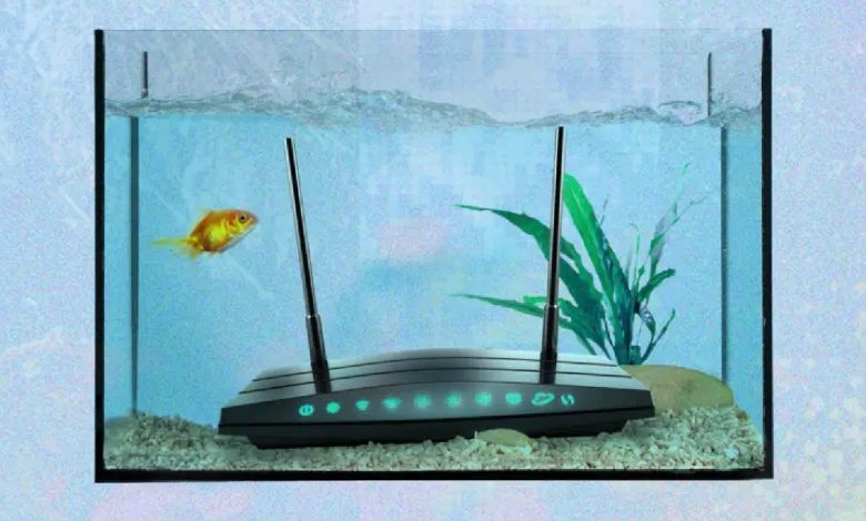 As coisas mais estranhas que podem piorar o sinal de wi-fi da sua casa