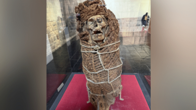 Antiga múmia inca em exibição em museu em Cusco, no Peru. Cientistas recuperaram DNA do vírus da varíola de duas antigas múmias incas encontradas no norte do Chile, segundo um novo estudo