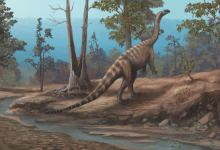 Musango matusadonaensis é o quinto dinossauro identificado no Zimbábue