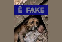 É #FAKE foto de cachorro protegendo bebê em terremoto na Venezuela; imagem foi criada com inteligência artificial
