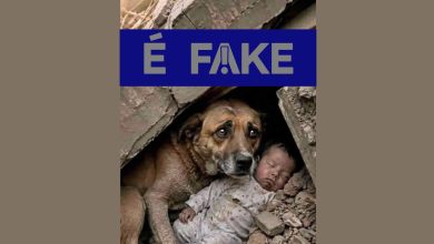 É #FAKE foto de cachorro protegendo bebê em terremoto na Venezuela; imagem foi criada com inteligência artificial