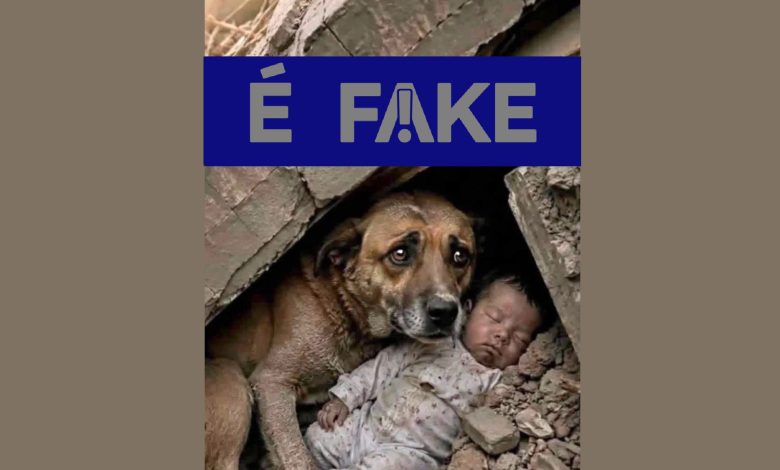 É #FAKE foto de cachorro protegendo bebê em terremoto na Venezuela; imagem foi criada com inteligência artificial