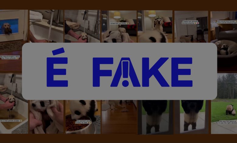 É #FAKE vídeo de cachorro entrando em casa com filhote de panda na boca; cena foi criada com inteligência artificial