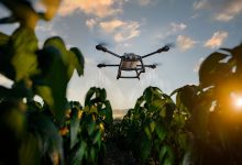 O agro se tornou referência em inovação e outros setores deveriam prestar atenção