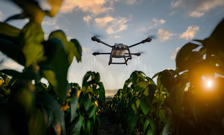 O agro se tornou referência em inovação e outros setores deveriam prestar atenção