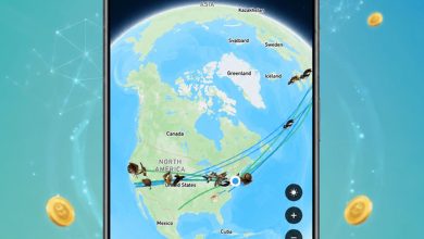 Pombo-Correio Digital: conheça o app que leva dias para entregar mensagens