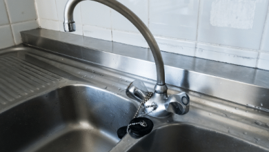 Cuidados diários ajudam a preservar