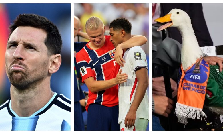 Seleção de memes: g1 lista os melhores e os piores virais da Copa