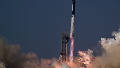 SpaceX fecha contrato de US$ 1,6 bilhão com Força Espacial dos EUA
