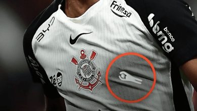Trend de Meccha Chameleon desafia usuários a encontrar personagens escondidos