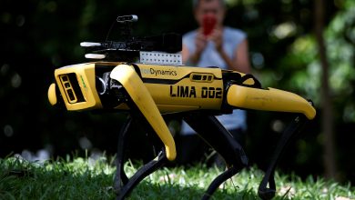 China quer levar cães-robôs à Lua para construir base com astronautas até 2035