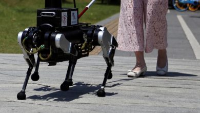 Como os EUA ajudaram financiar pesquisa que criou cães-robôs chineses