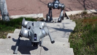 Como pesquisas militares dos EUA viraram base para os cães-robôs da China